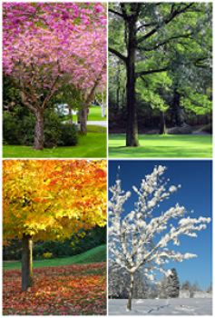 Primavera, verão, outono e inverno são as quatro estações do ano.