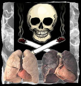 Pulmão de não fumante e pulmão de fumante
