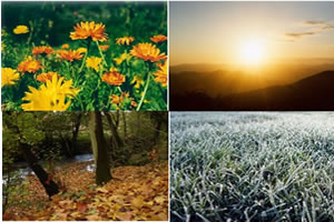 Outono, inverno, primavera e verão são as quatro estações do ano.