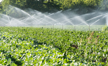 A agricultura é a atividade econômica que mais consome água