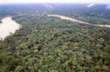 Floresta amazônica, a maior floresta tropical do planeta