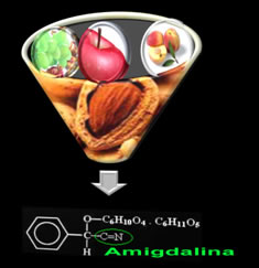 A amigdalina é uma nitrila presente nas sementes e folhas de muitas frutas e vegetais. 