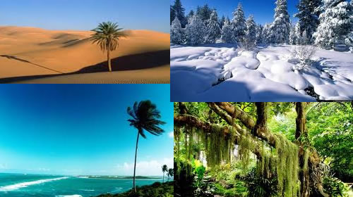 As diferentes paisagens ao redor do mundo.