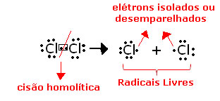 Cisão homolítica do cloro, para a formação de radicais livres.