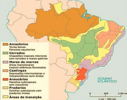 Os seis domínios morfoclimáticos brasileiros