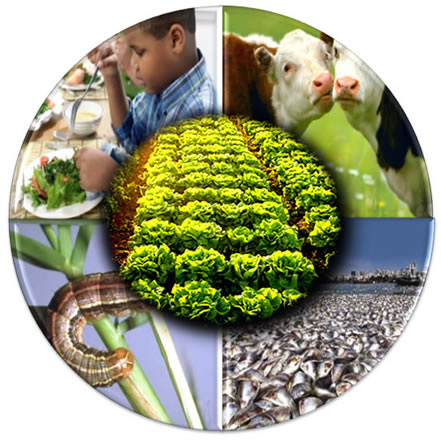 Para ser sustentável, a agricultura precisa atender não somente aos interesses econômicos, mas também ecológicos e sociais