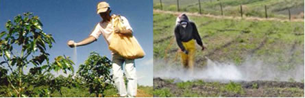 Uso de fertilizantes e os agrotóxicos