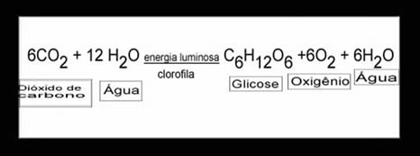 Equação geral da fotossíntese