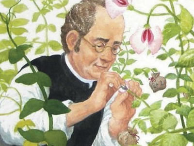 Gregor Mendel realizando experimentos com ervilhas.