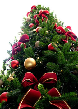 Árvore - símbolo do Natal