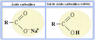 Os sabões são sais de ácidos carboxílicos em que o hidrogênio do ácido é substituído por um cátion.