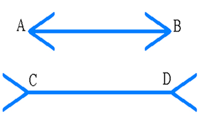 Os dois segmentos de reta possuem o mesmo tamanho