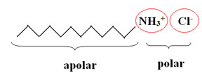 Molécula do tensoativo catiônico do condicionador