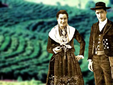 Os primeiros imigrantes chegaram ao Brasil para trabalhar em sistema de parceria nas lavouras de caf.
