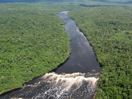 O Rio Amazonas possui uma grande quantidade de afluentes